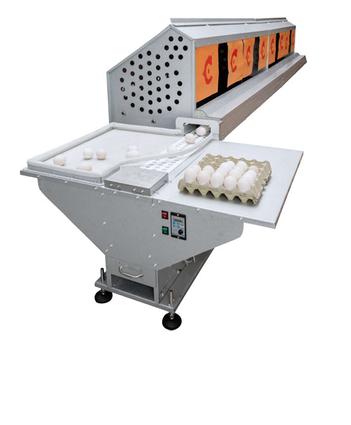 Automatic-egg-collection-equipment