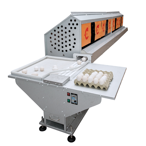 Automatic-egg-collection-equipment